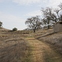 DSC00595