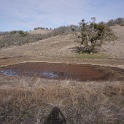 DSC00600