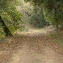 DSC00604
