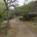 DSC00606