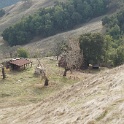 DSC00619