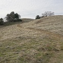 DSC00623