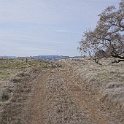 DSC00631