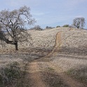 DSC00635