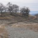 DSC00643