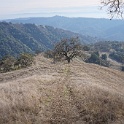 DSC00651