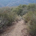 DSC00666