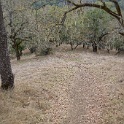 DSC00670