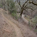 DSC00674