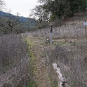 DSC00676