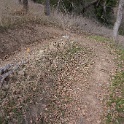 DSC00679