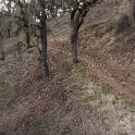 DSC00680