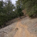 DSC00687
