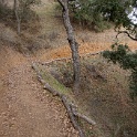 DSC00689