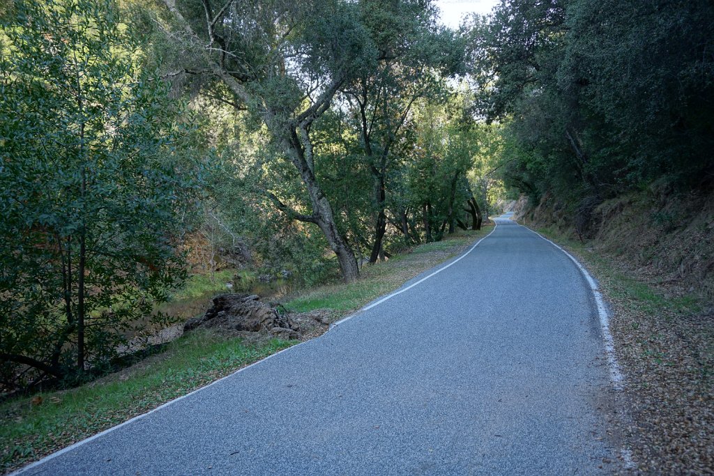 DSC00230