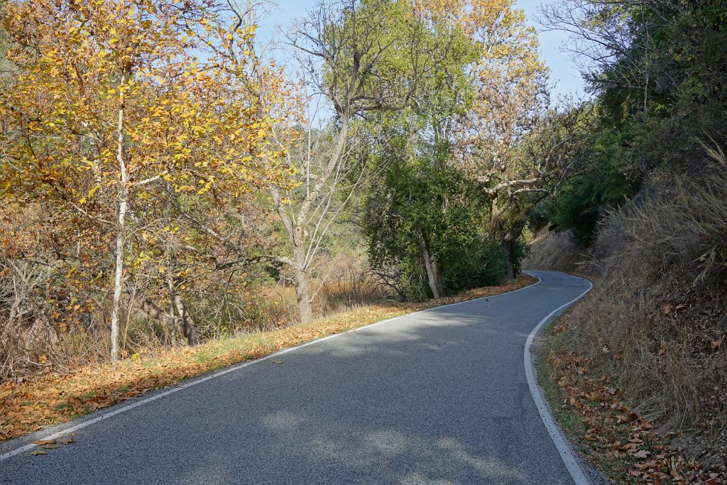 DSC00234