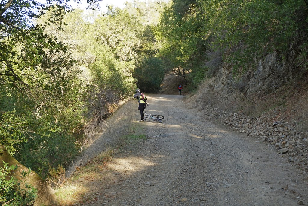 DSC00240