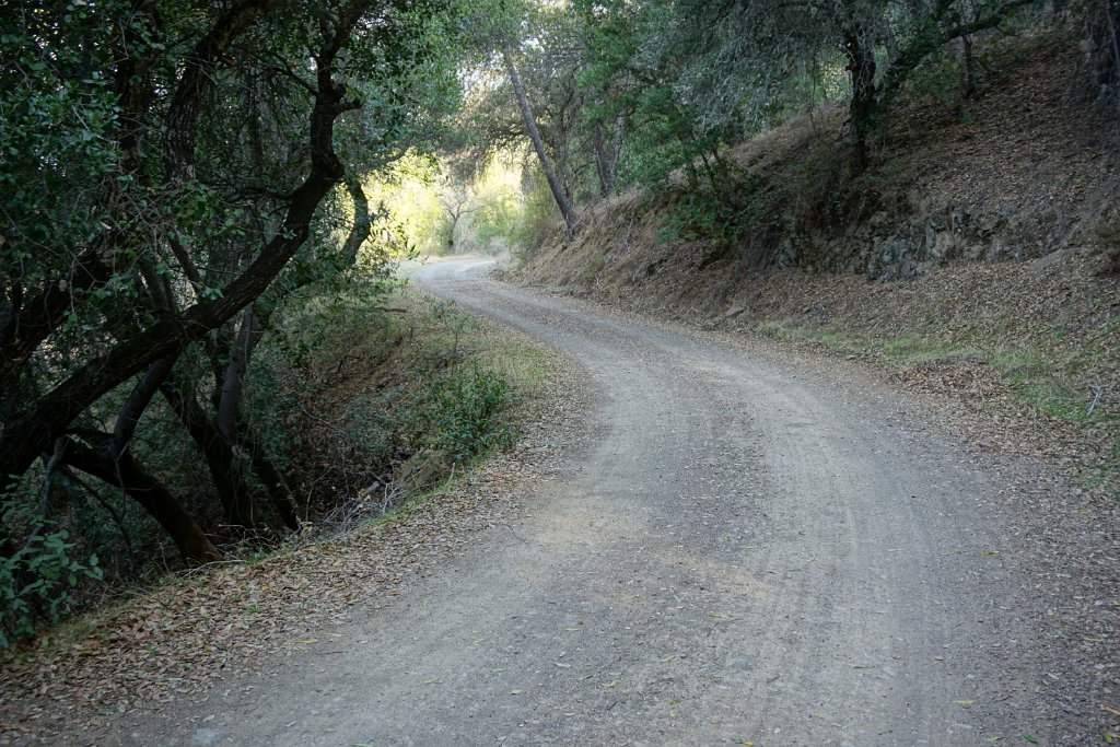 DSC00246