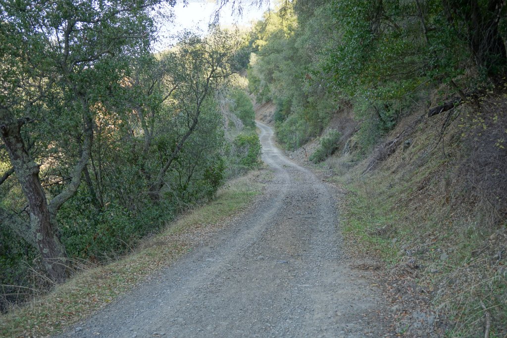DSC00256