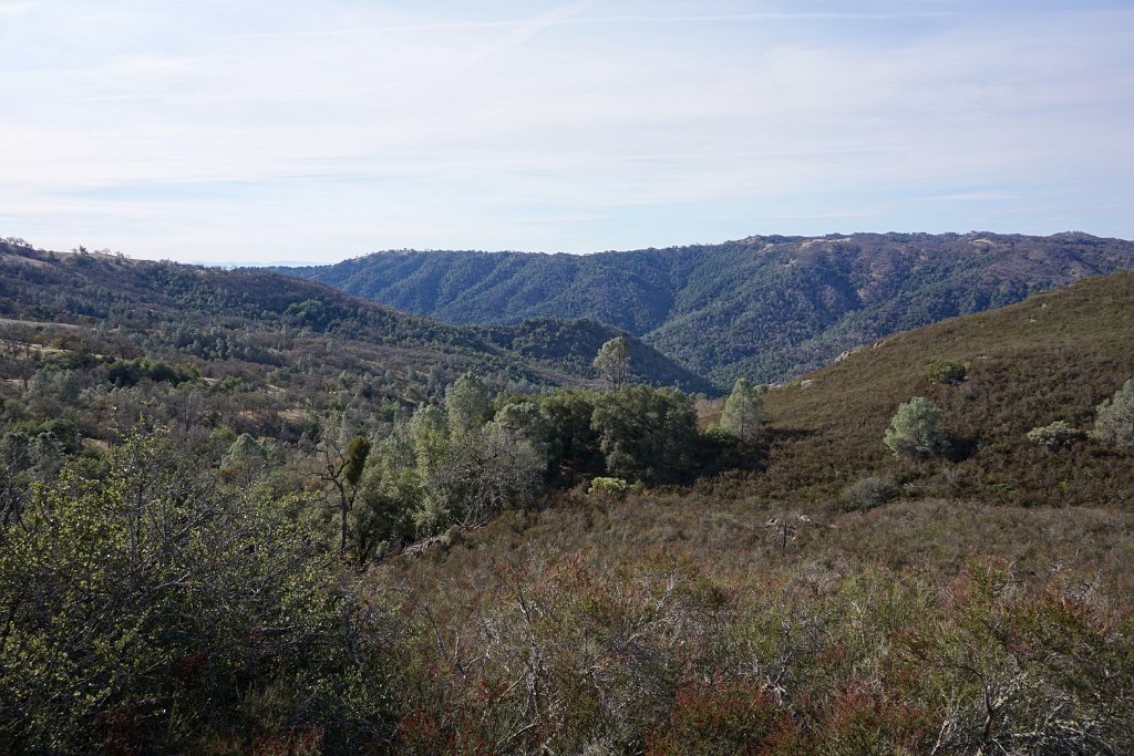 DSC00306