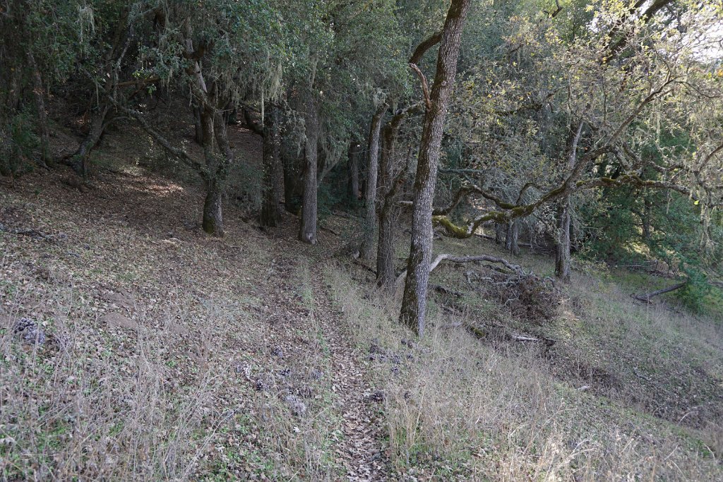 DSC00409