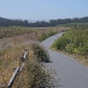DSC06089