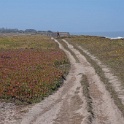 DSC06116