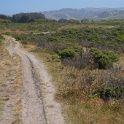 DSC06120