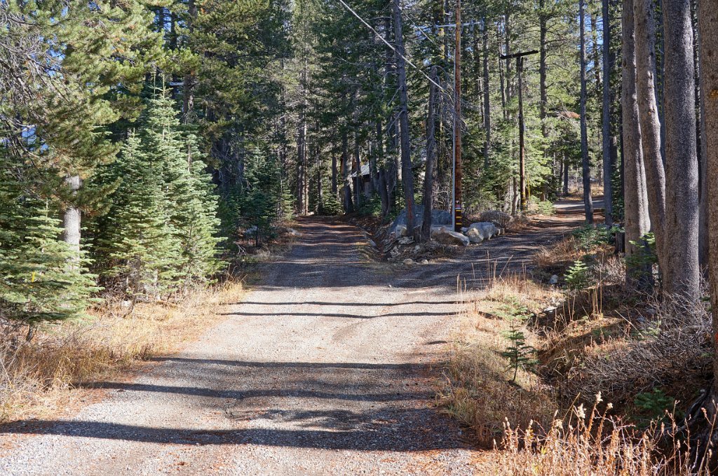 DSC00507