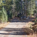 DSC00507