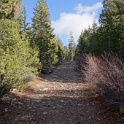 DSC00515