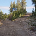 DSC00519