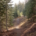 DSC00555