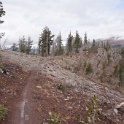 DSC00570