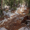 DSC00595