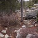 DSC00648