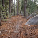DSC00659