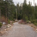 DSC00691