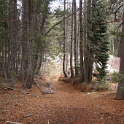 DSC00696
