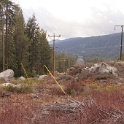 DSC00698