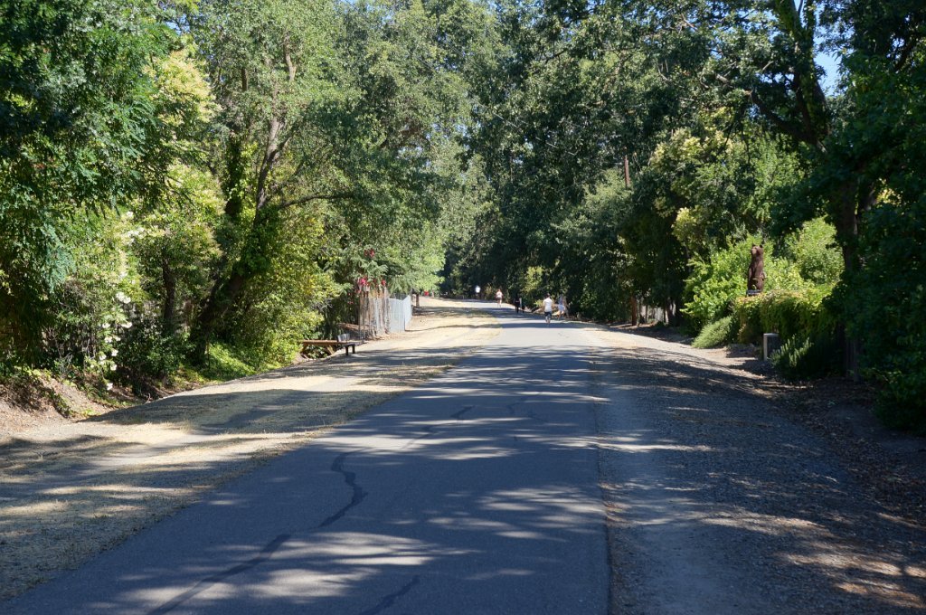 DSC09458