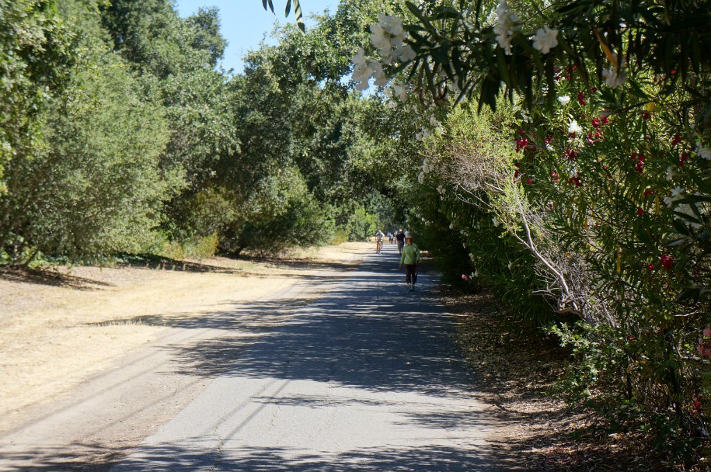 DSC09478