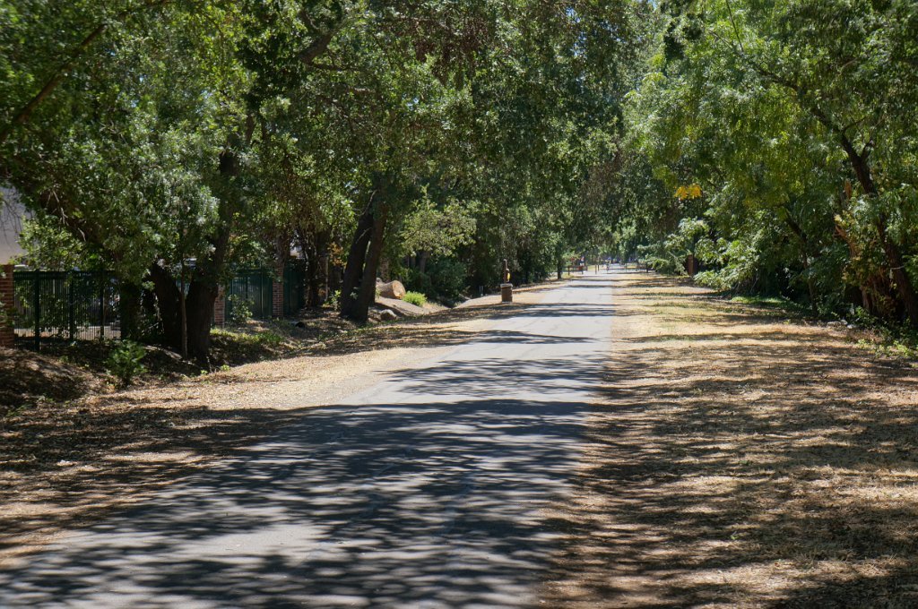 DSC09507
