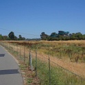 DSC09494