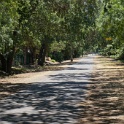 DSC09507