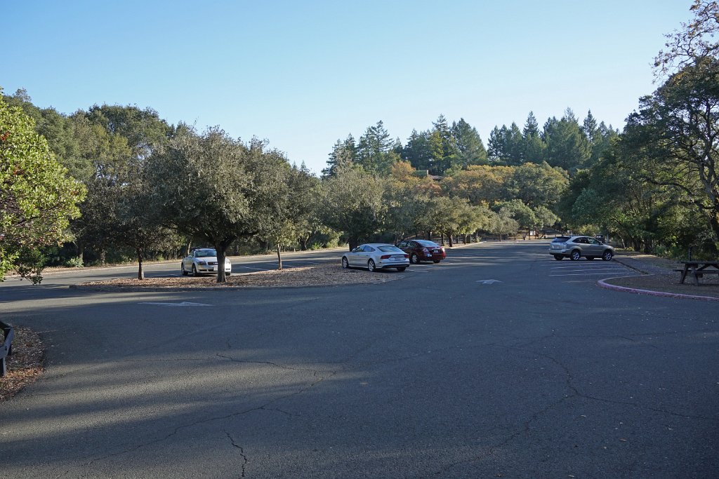 DSC06395
