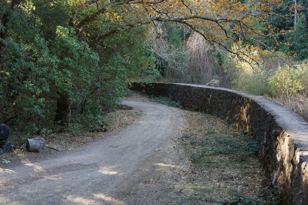 DSC06409