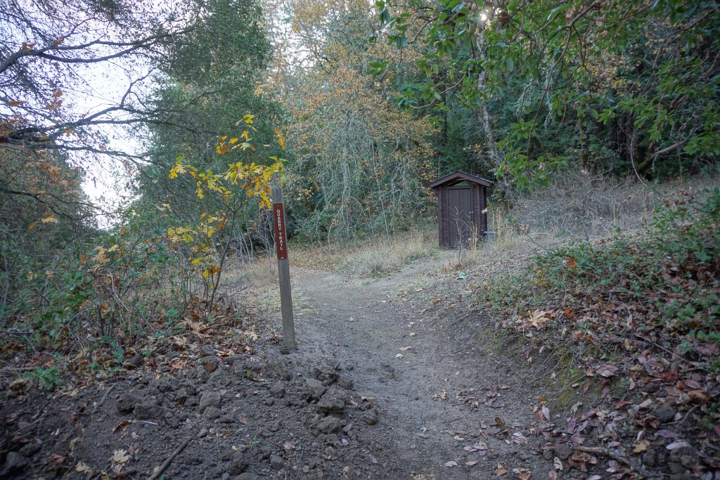 DSC06418