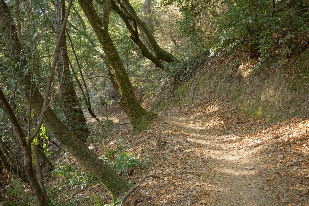 DSC06421