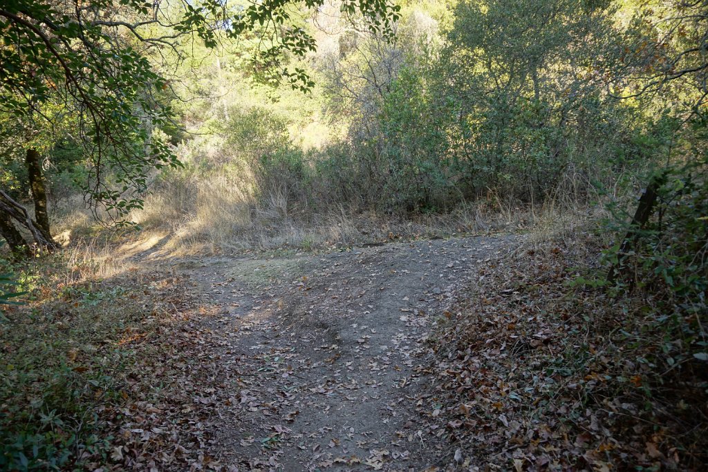 DSC06423